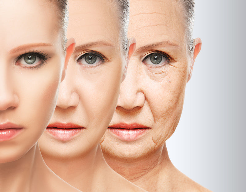 Anti Aging Products From Israel