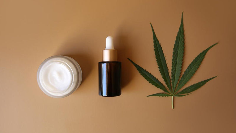 Best Skin Care Products Reviews